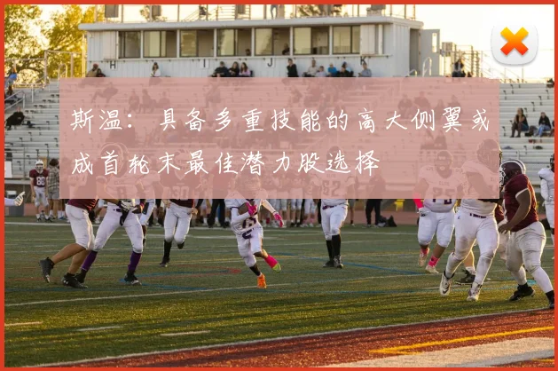 斯温：具备多重技能的高大侧翼或成首轮末最佳潜力股选择