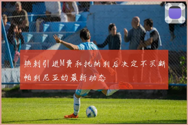 热刺引进M费和托纳利后决定不买断帕利尼亚的最新动态