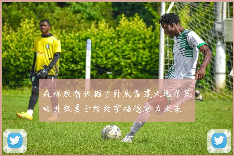 森林狼潜伏掘金卧底雷霆大逃杀策略升级勇士续约霍福德助力未来